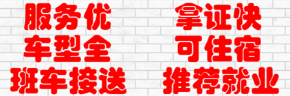1513923817224097.png
